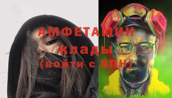 мдпв Щигры