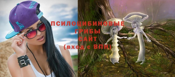 МДПВ Магас