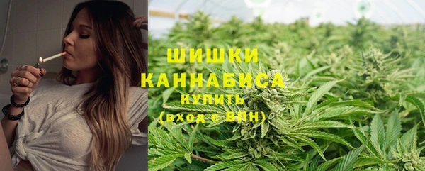 каннабис Майский