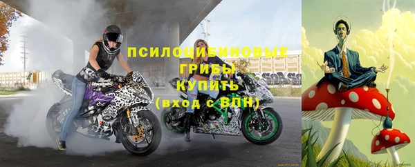 МДПВ Магас