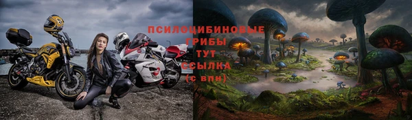 МДПВ Магас