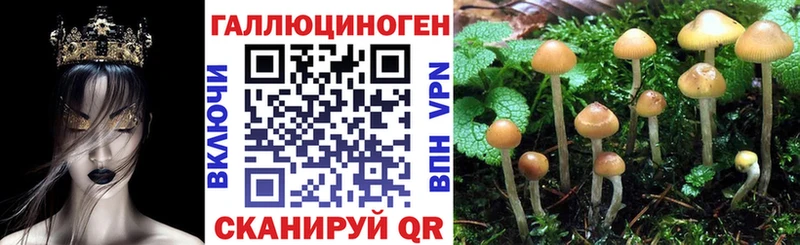 KRAKEN ссылки  Нижневартовск  Псилоцибиновые грибы Magic Shrooms 